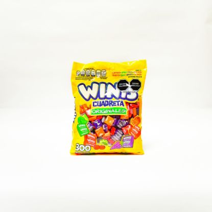 Imagen de WINIS 300P